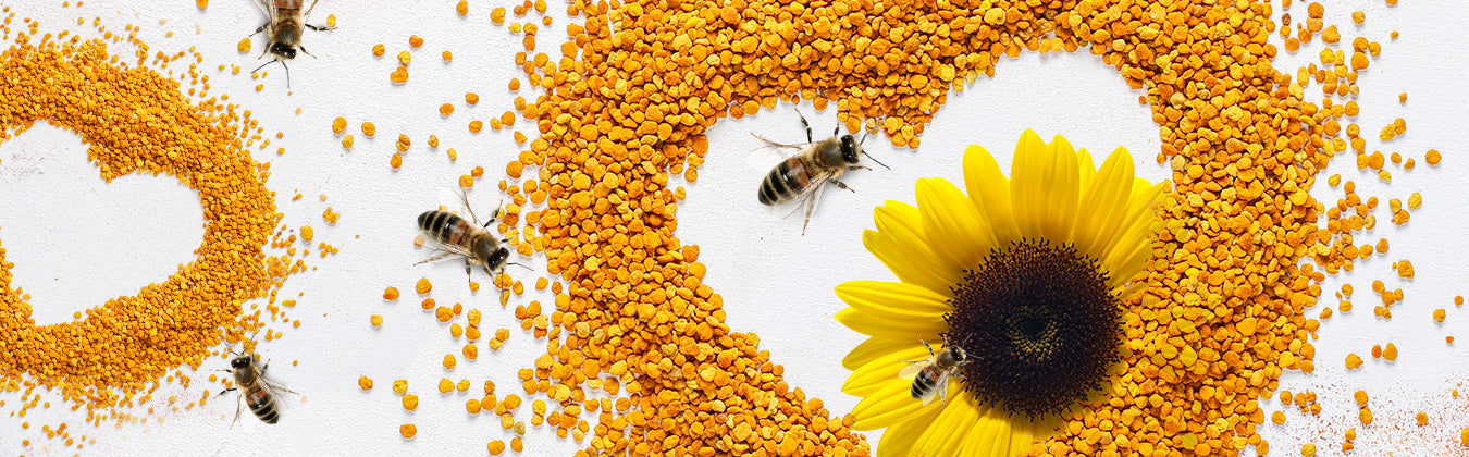BEE-POLLEN-HEADER-Shiva-Organic