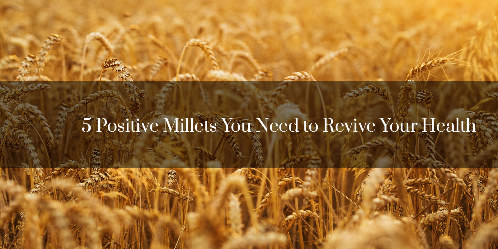 5 Positive Millets You Need Today to Revive Your Health – Shiva Organic
