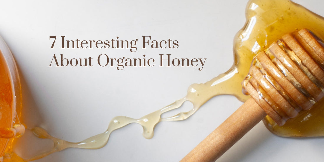 7 Interesting Facts About Organic Honey