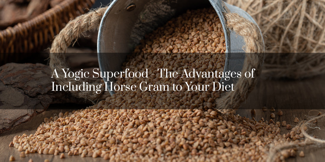 A Yogic Superfood - The Advantages of Including Horse Gram to Your Diet
