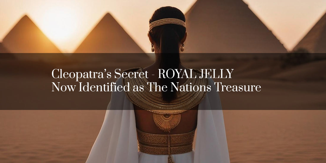 Cleopatra’s Secret - ROYAL JELLY Now Identified as The Nations Treasure