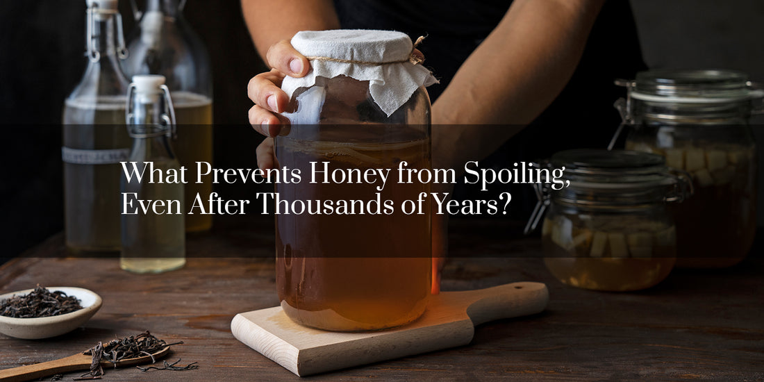 What Prevents Honey from Spoiling, Even After Thousands of Years?
