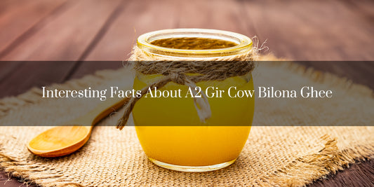 Interesting Facts About A2 Gir Cow Bilona Ghee