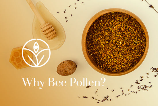 Why-Bee-Pollen-Shiva-Organic