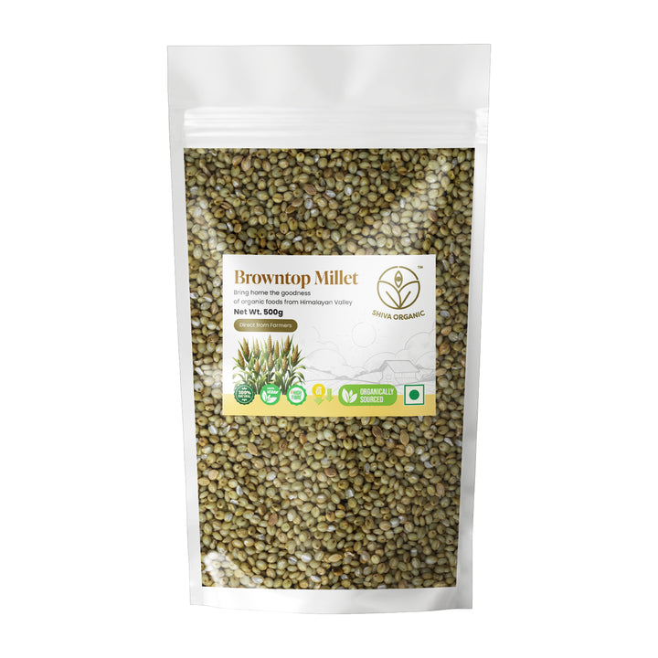 Browntop Millet 500g | Shiva Organic