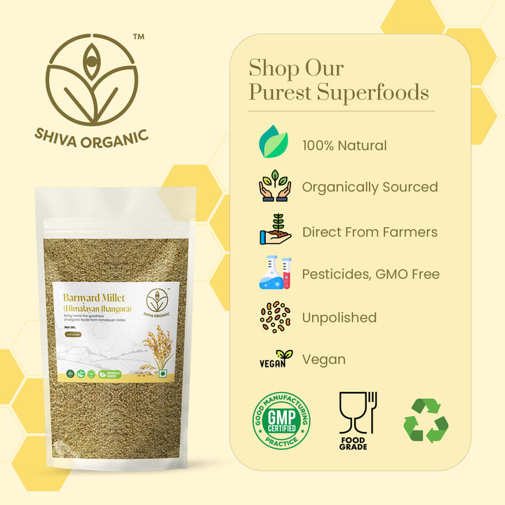 Organic Barnayrd Millet | Himalayan Jhangora | Shiva Organic