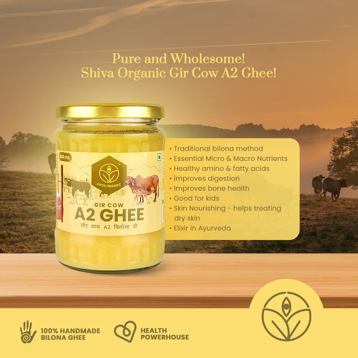 Gir Cow A2 Bilona Ghee | buy pure Desi Ghee Cow Ghee | Shiva Organic