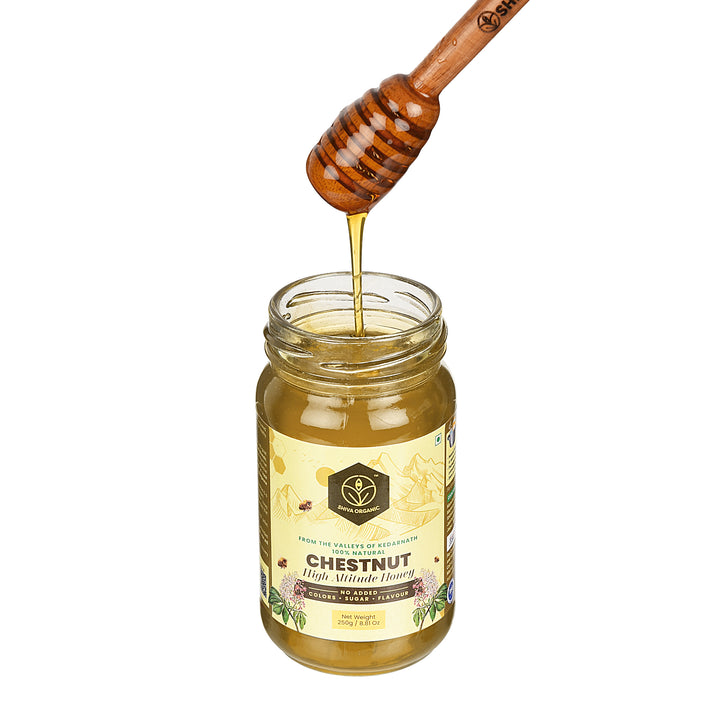 Chestnut Honey | Shiva Organic