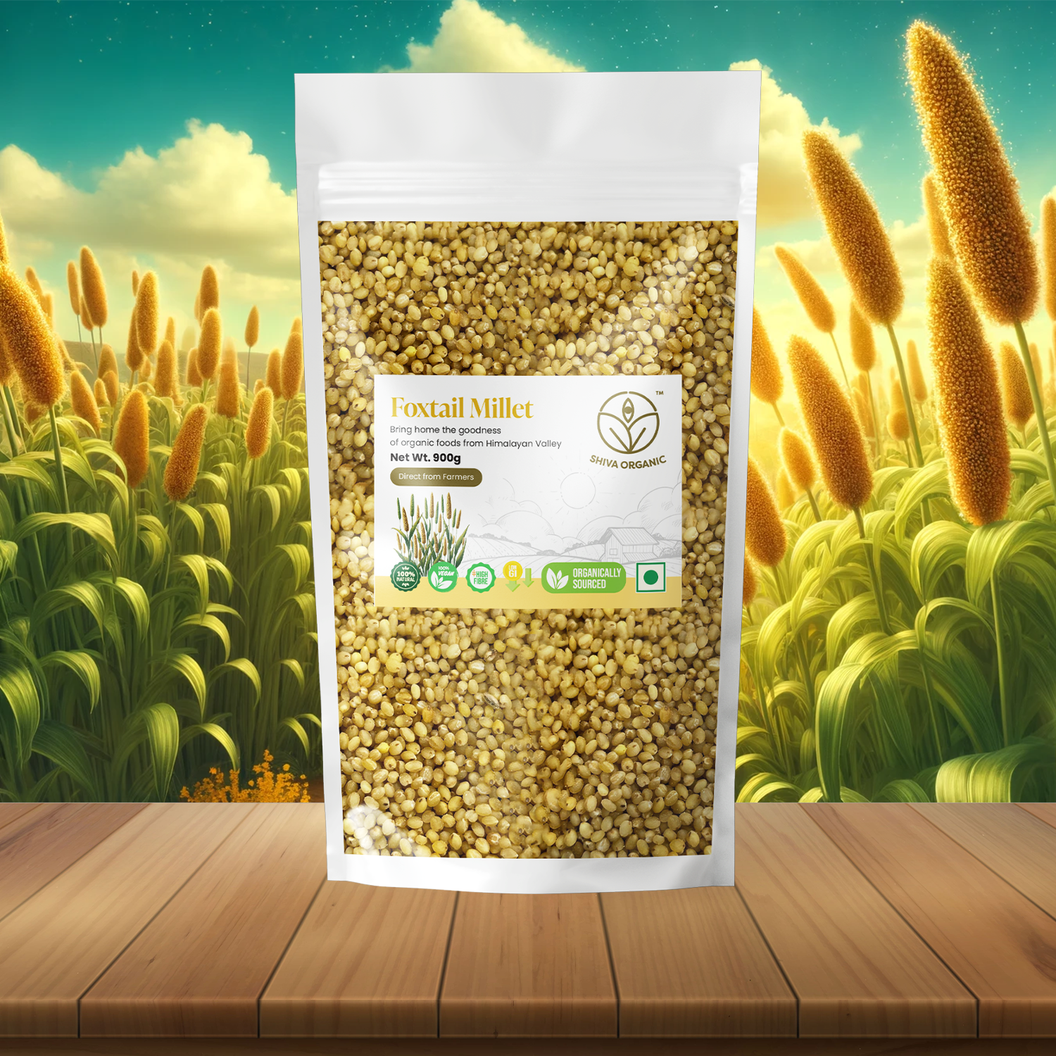 Foxtail Millet Java Foxtail Millet | Kanganee | Shiva Organic