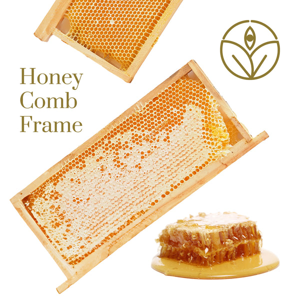 Honey Comb Frame | Shiva Organic