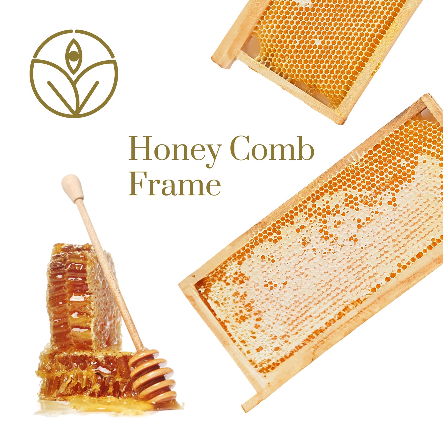 Honey Comb Frame | Shiva Organic