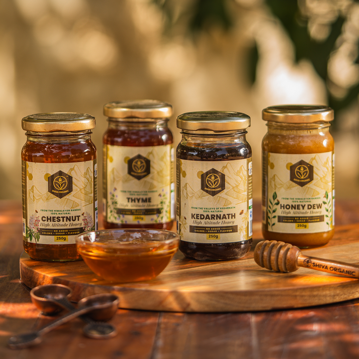 Chestnut Honey | Shiva Organic