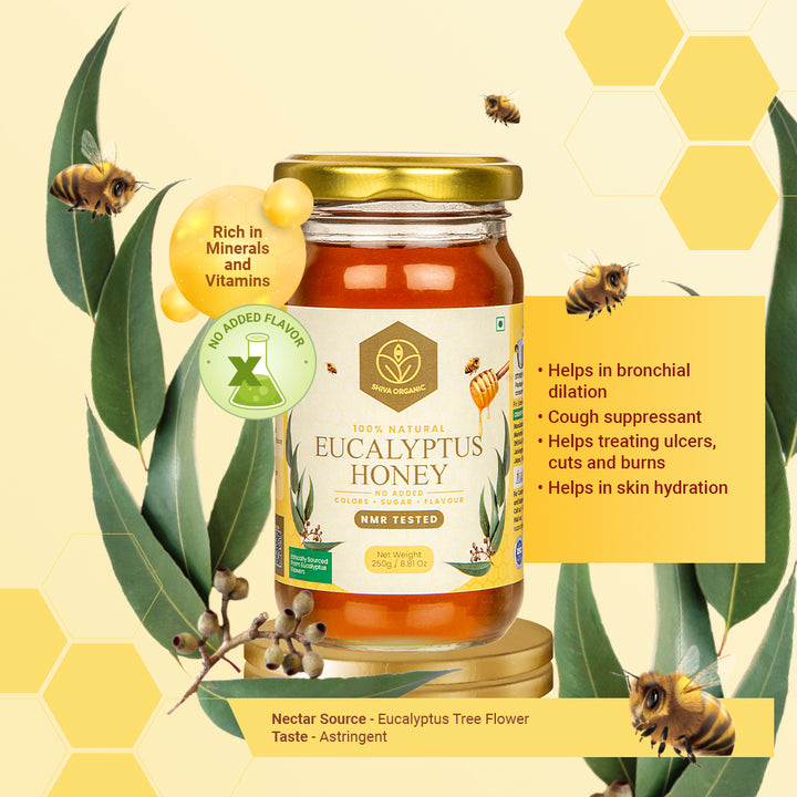 250 gm, Eucalyptus Honey | Best honey for winters | Shiva Organic