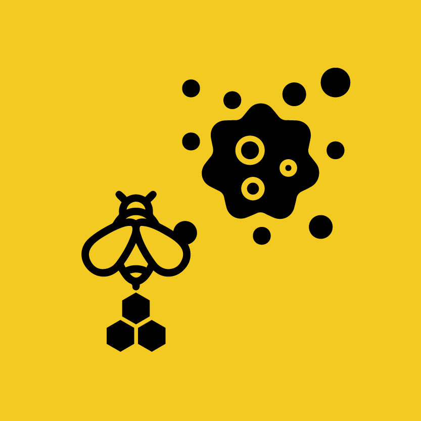ICONS_FOR_BEE_POLLEN-10