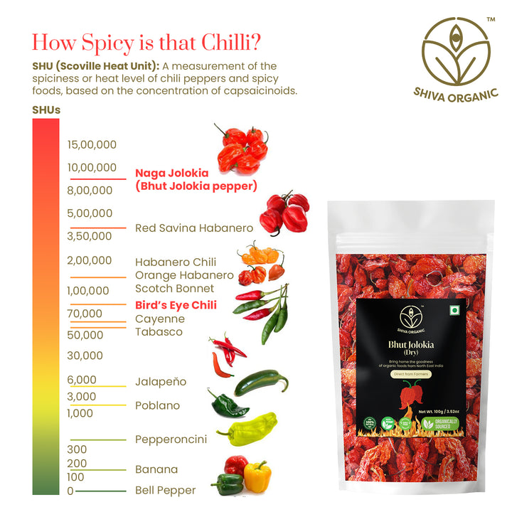 Hottest Chilli | Bhut Jolokiya | Shiva Organic