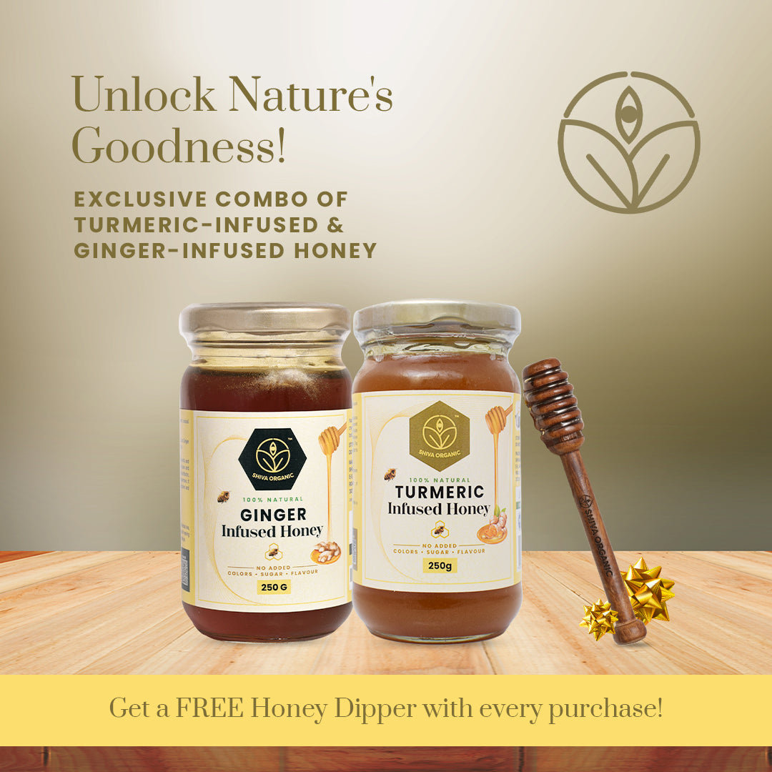 Honey combo | Ginger honey | Shiva Organic