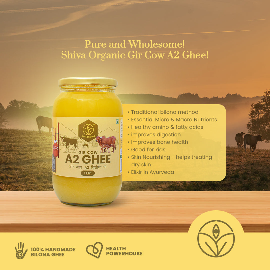 Gir Cow A2 Desi Ghee | Bilona Ghee 1 ltr | Shiva Organic